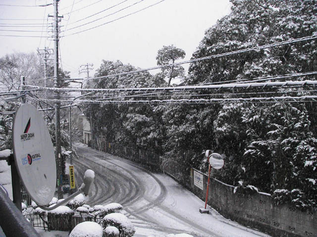 20080203a