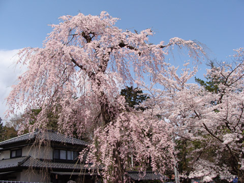 20080414a