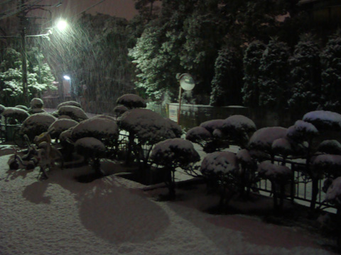 20100202a