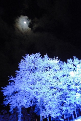 20130225e